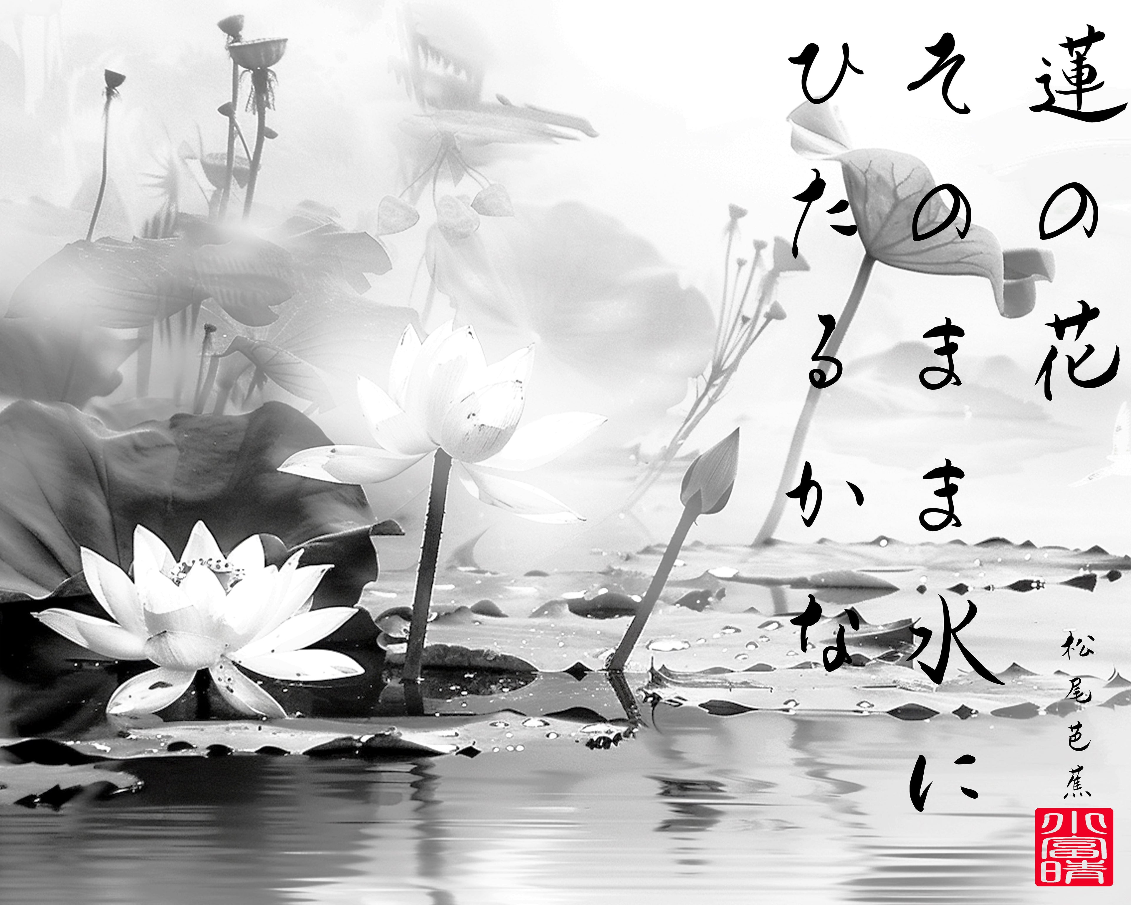 蓮の花- lotus flower after Bashō