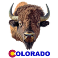 Colorado Buffalo