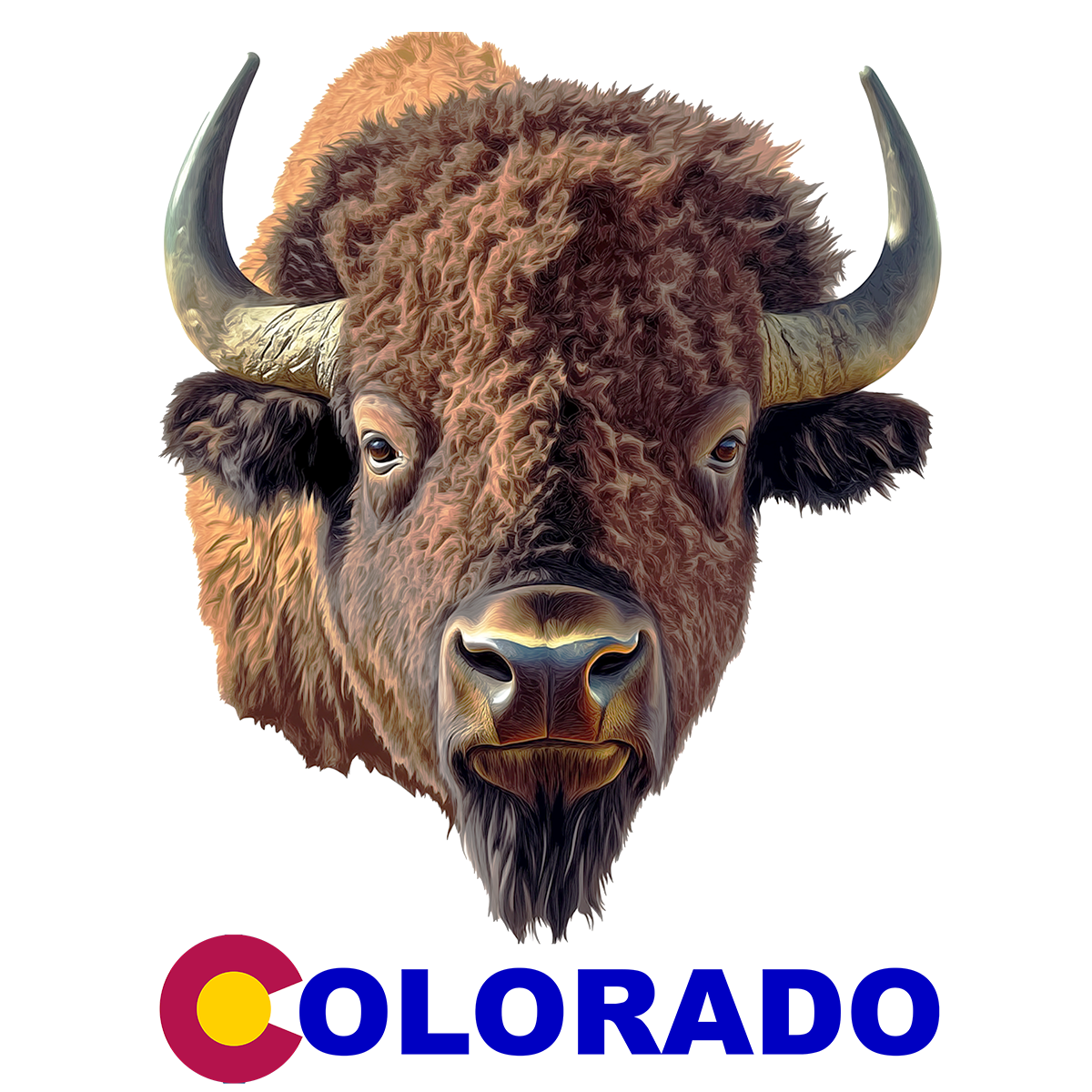 Colorado Buffalo