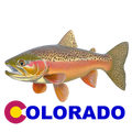 Colorado Green Back Cutthroat Trout